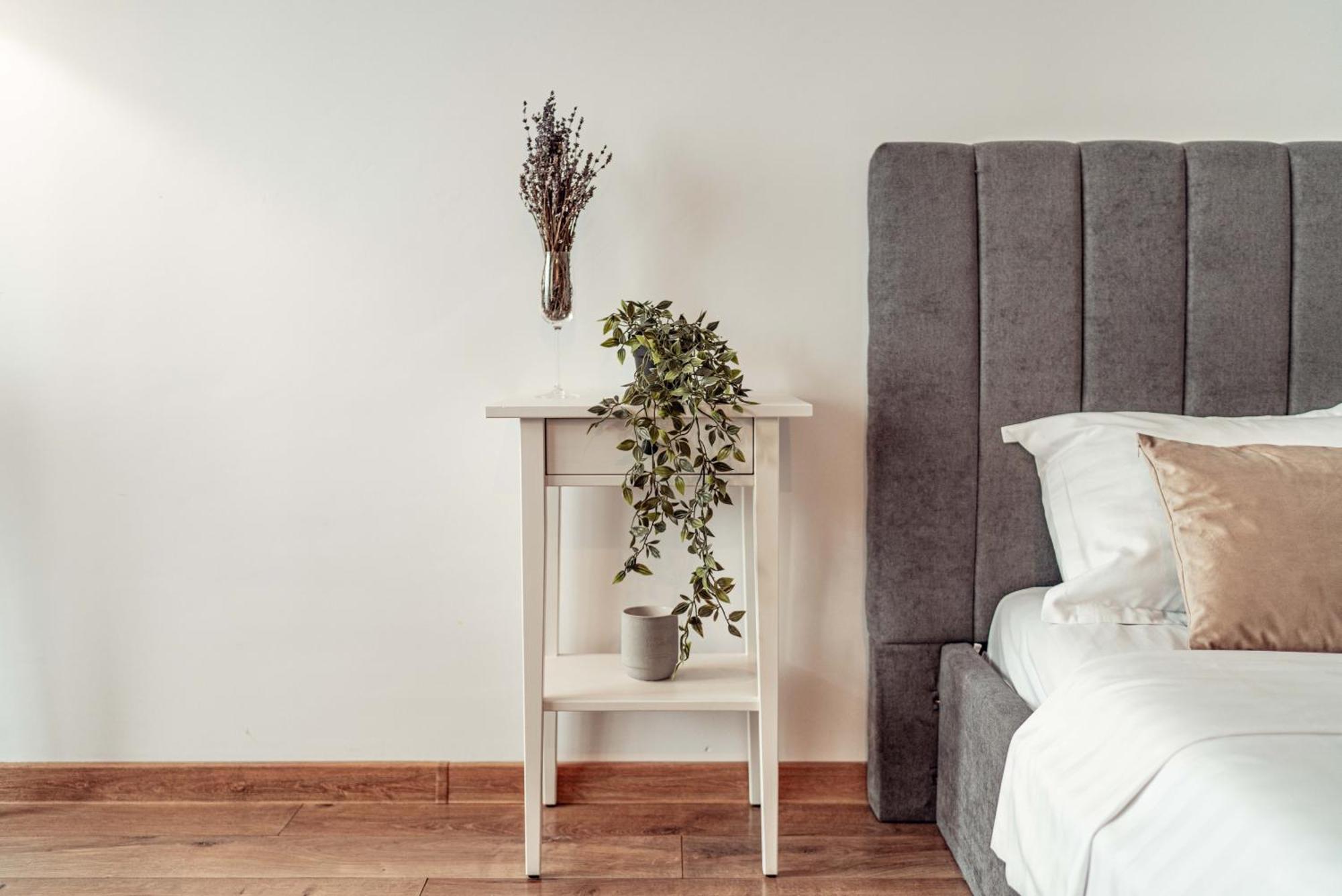 Cozy Apartments At Q Residence - Palas Mall Iasi Ngoại thất bức ảnh
