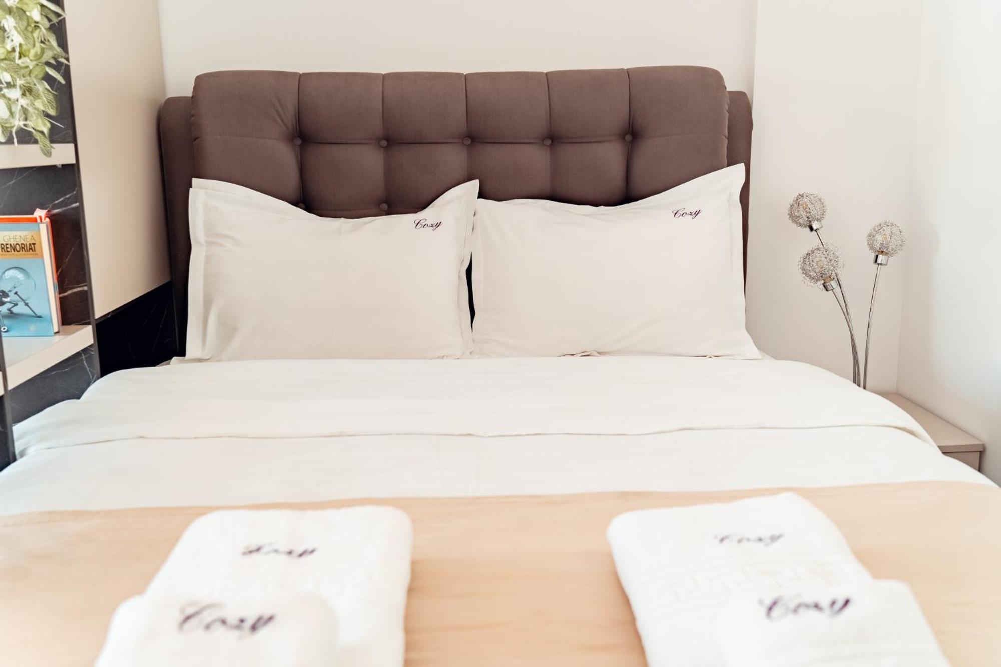 Cozy Apartments At Q Residence - Palas Mall Iasi Ngoại thất bức ảnh